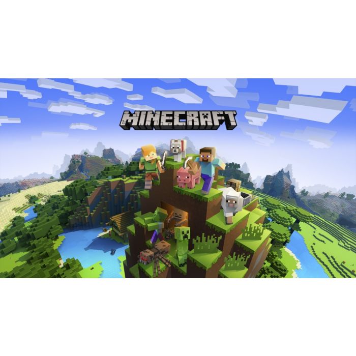 Minecraft nintendo clearance store