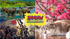 Jigsaw Masterpieces: Variety Pack