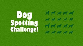 Dog Spotting Challenge!