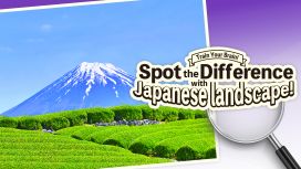 Train Your Brain! Spot the Difference with Japanese landscapes