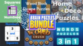 Brain Puzzles Bundle 12 in 1