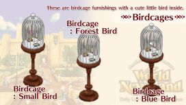 Birdcages