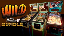 Wild Pinball Bundle