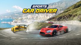 Sports Car Driver