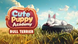 Bull Terrier Training Pack