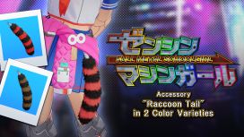 Accessory: "Raccoon Tail" in 2 Color Varieties