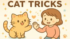 Cat Tricks