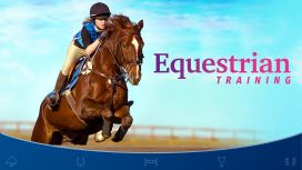 Equestrian Training 