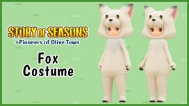 Fox Costume