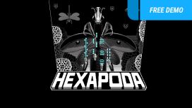 HEXAPODA