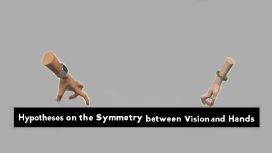 Hypotheses on the Symmetry between Vision and Hands