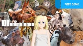 100animalease