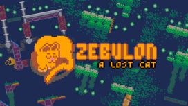 Zebulon: A Lost Cat